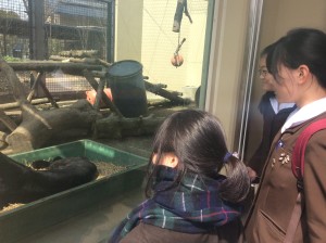 J23動物園にて②