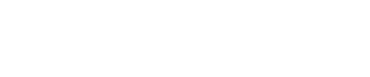 総合学習の新たなカリキュラムづくりに挑む